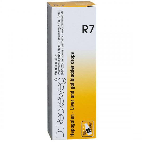 Buy Dr Reckeweg R7 Hepagalen Liver And Gallbladder Drops 22 Ml Online At Best Price In India 0938