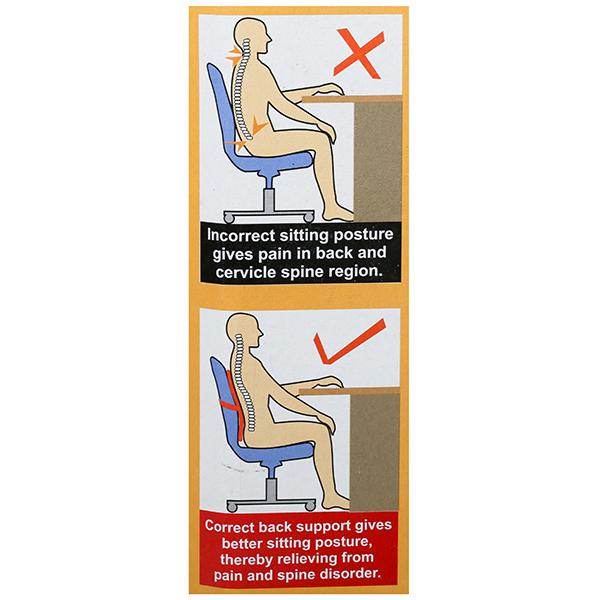 Back Rest (Large) – Flamingo Health