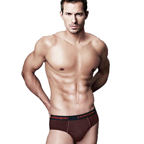 Buy Rupa Frontline Expando Brief Chocolate M 85 cm Online