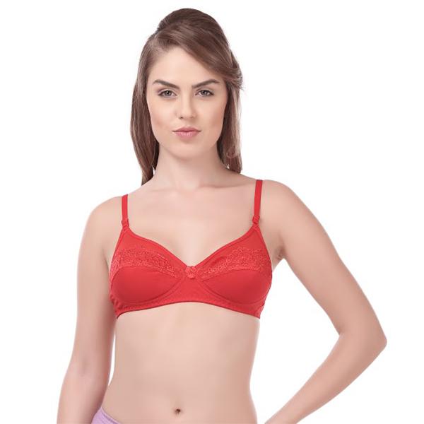 Buy Rupa Softline Butterfly 1033 3 MIXCOL Stretchable Lace Bra Red (38B-95  cm) Online