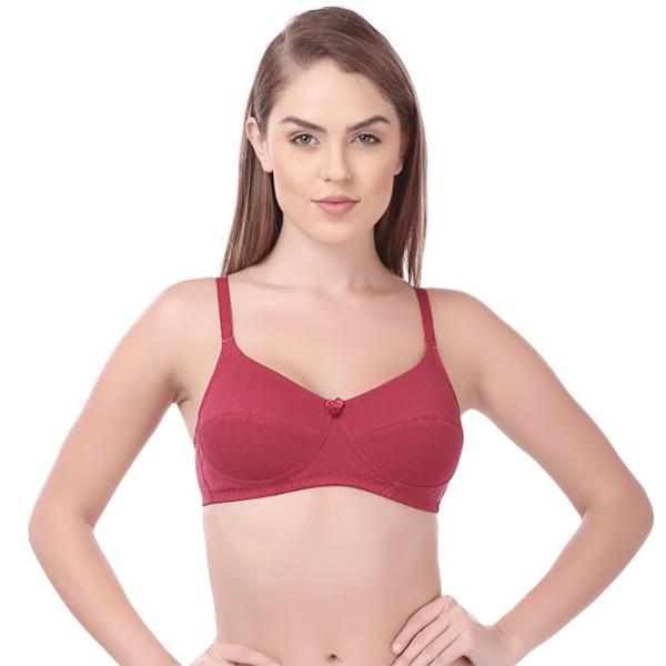 Buy Rupa Softline Butterfly 1034 3 MIXCOL Full Stretchable Cotton Bra  Maroon (36B-90 cm) Online