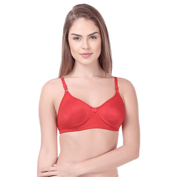 Buy Rupa Softline Butterfly 2004 MIXCOL Smls Rnd Nck C-Cup Bra Red (36C-90  cm) Online