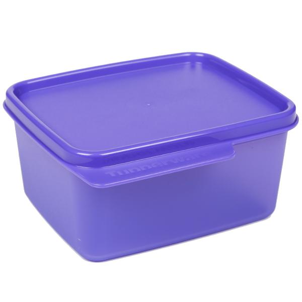 Tupperware Keep Tab Small Lunch Box